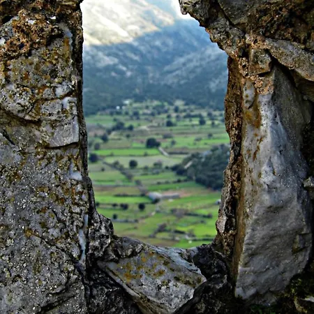 ラグジュアリーテント Rooftop Jeep Escape Sleep Under The Stars